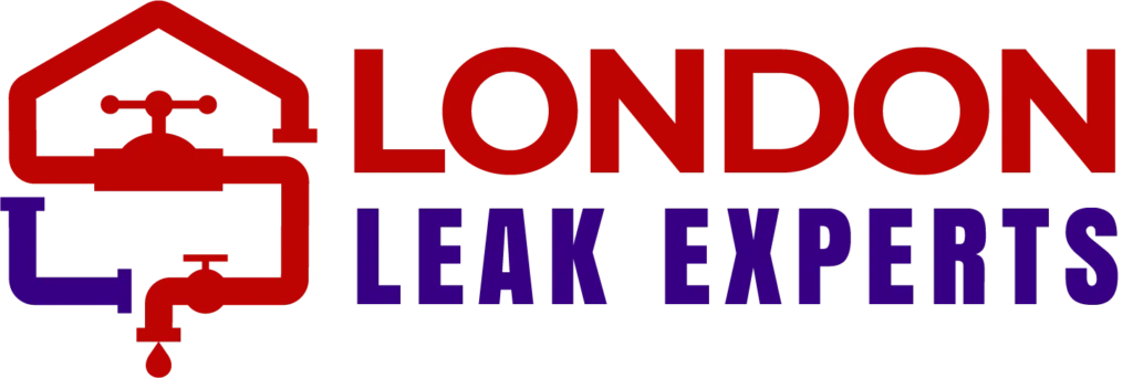 London Leak Experts
